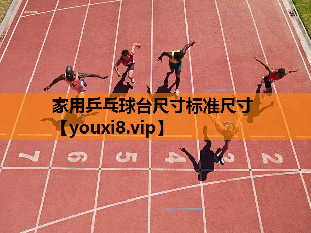 家用乒乓球台尺寸标准尺寸
