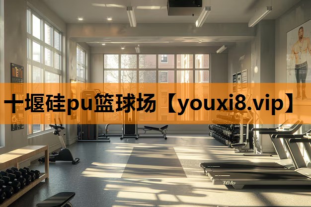 十堰硅pu篮球场