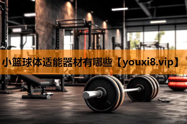 小篮球体适能器材有哪些