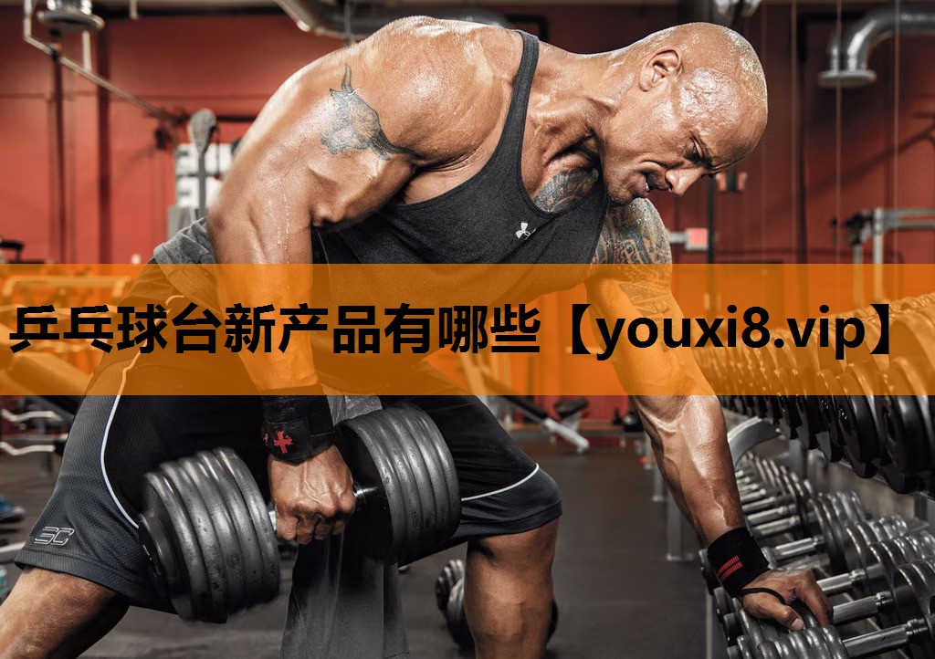 乒乓球台新产品有哪些