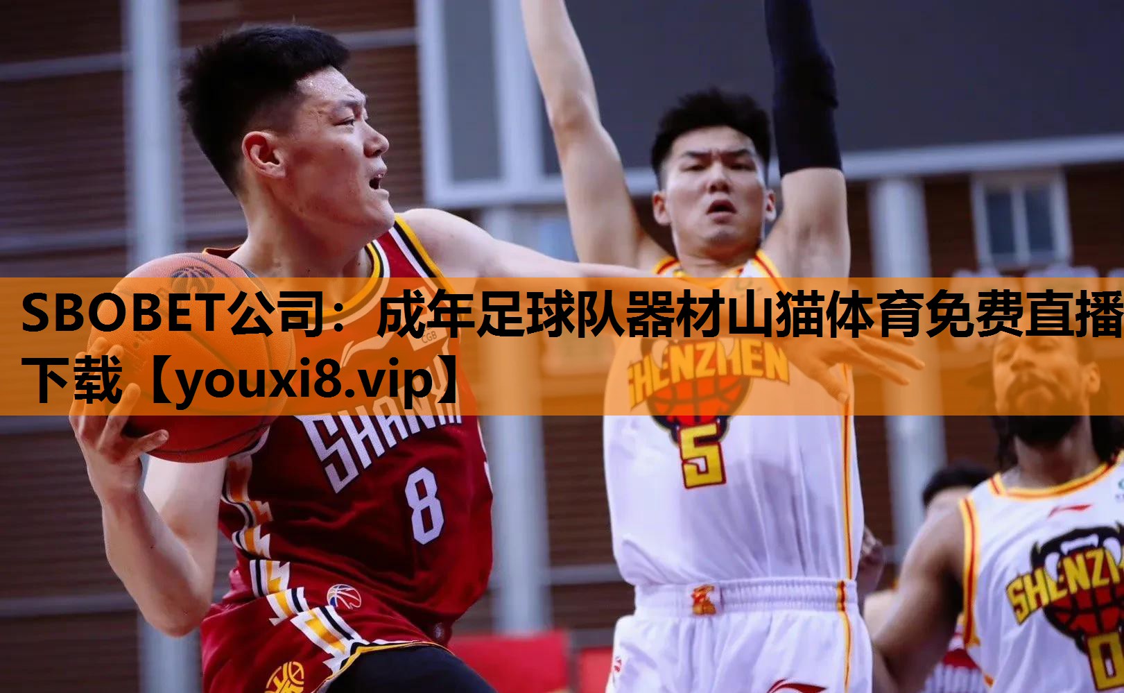SBOBET公司：成年足球队器材山猫体育免费直播下载