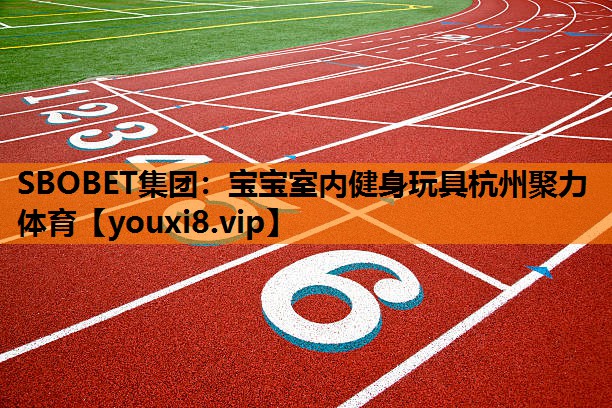 SBOBET集团：宝宝室内健身玩具杭州聚力体育