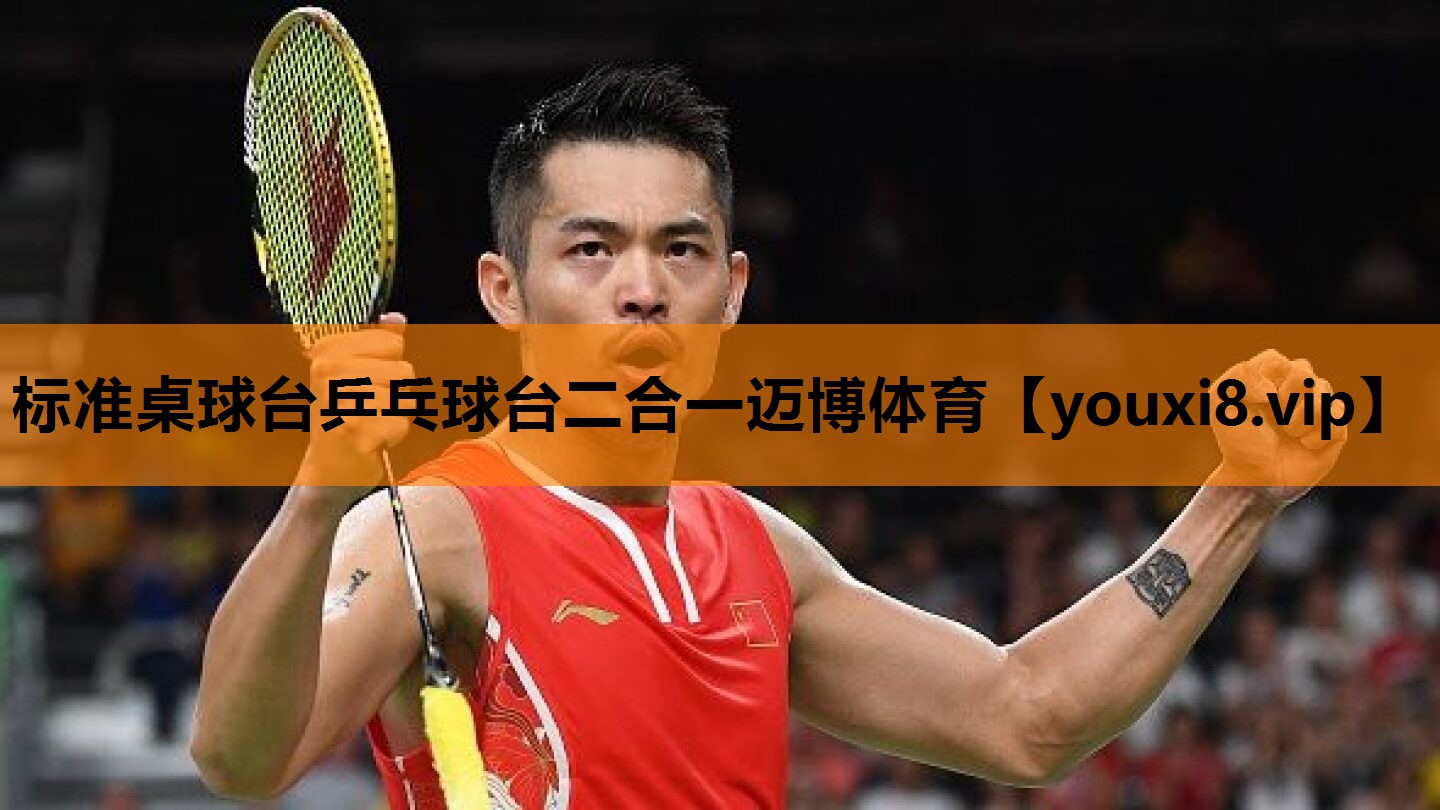 标准桌球台乒乓球台二合一迈博体育