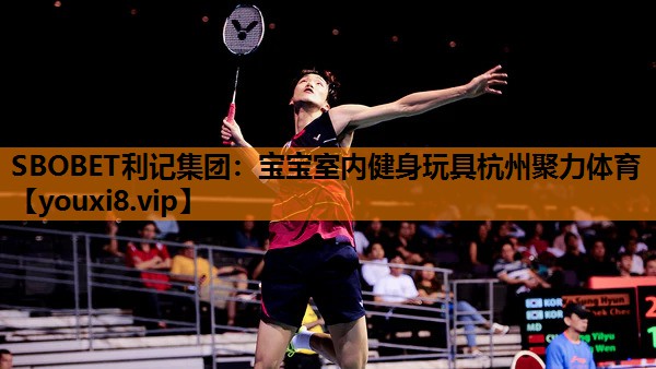 SBOBET利记集团：宝宝室内健身玩具杭州聚力体育