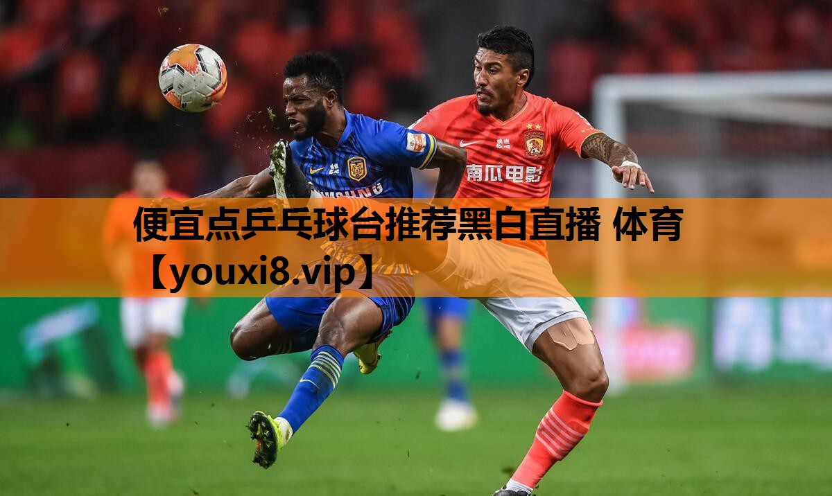 便宜点乒乓球台推荐黑白直播 体育