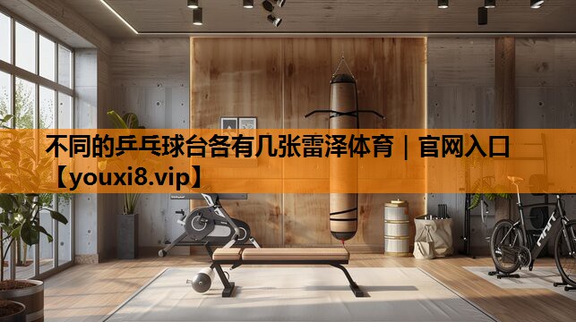 不同的乒乓球台各有几张雷泽体育｜官网入口