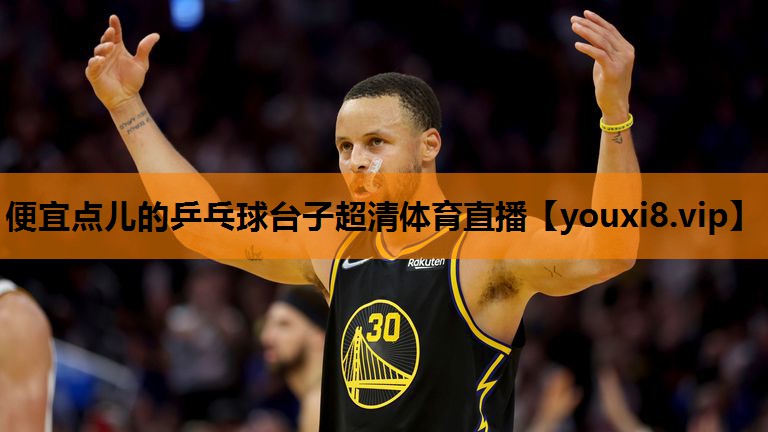 便宜点儿的乒乓球台子超清体育直播