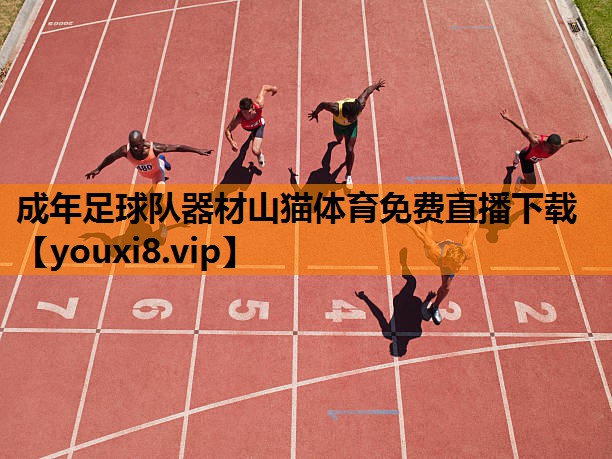 成年足球队器材山猫体育免费直播下载