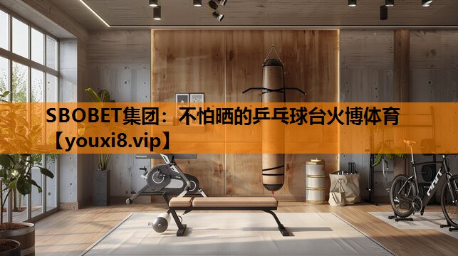 SBOBET集团：不怕晒的乒乓球台火博体育