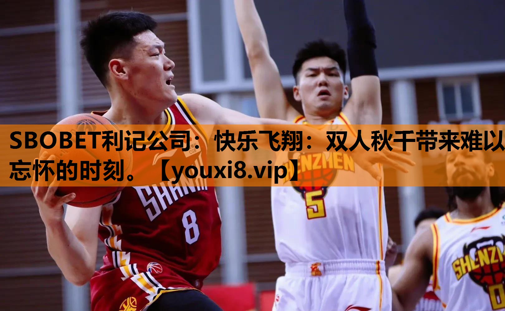 SBOBET利记公司：快乐飞翔：双人秋千带来难以忘怀的时刻。
