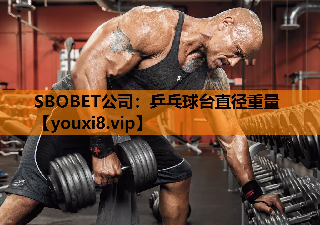 乒乓球台直径重量