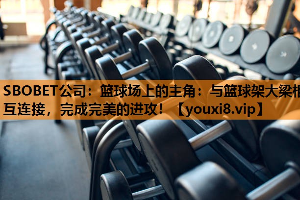 篮球场上的主角：与篮球架大梁相互连接，完成完美的进攻！