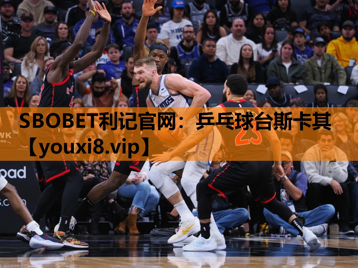 乒乓球台斯卡其