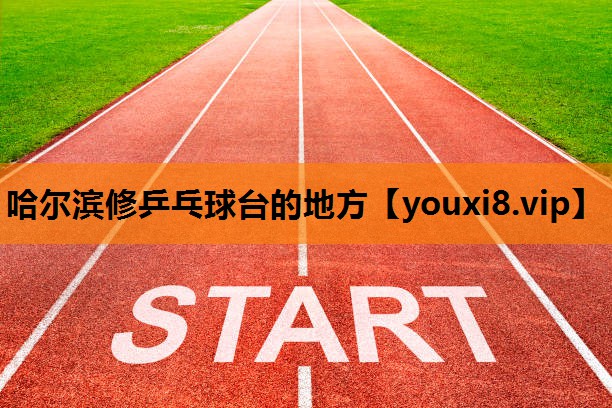 哈尔滨修乒乓球台的地方