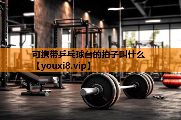 可携带乒乓球台的拍子叫什么