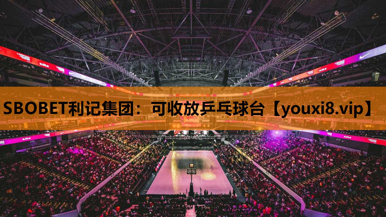 可收放乒乓球台