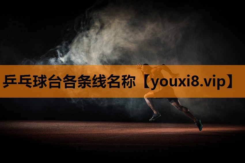 乒乓球台各条线名称